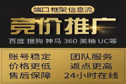 某某SEM团队成功案例：广告投放策略揭秘